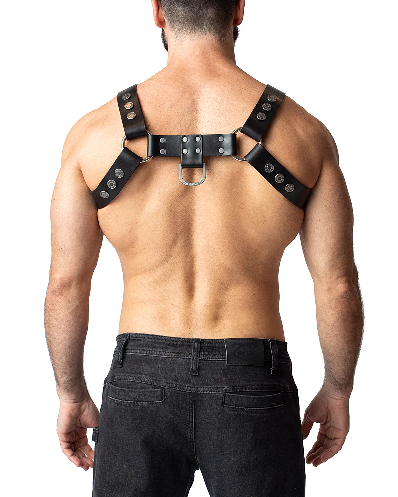 Anvil Leather Bulldog Harness - Black - Image 5