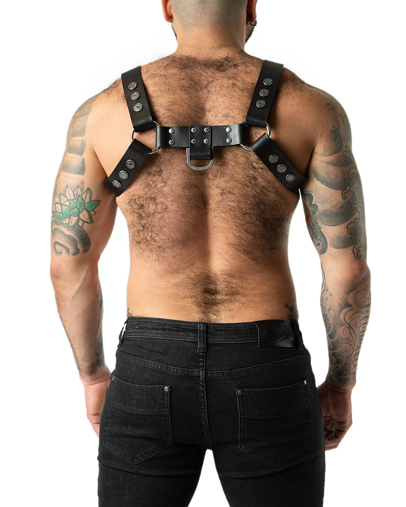 Anvil Leather Bulldog Harness - Black - Image 9